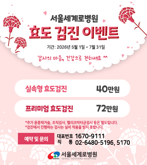 효도검진